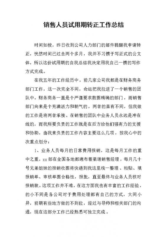 系统完整销售人员试用期转正年终工作总结Word模板-办公资源网