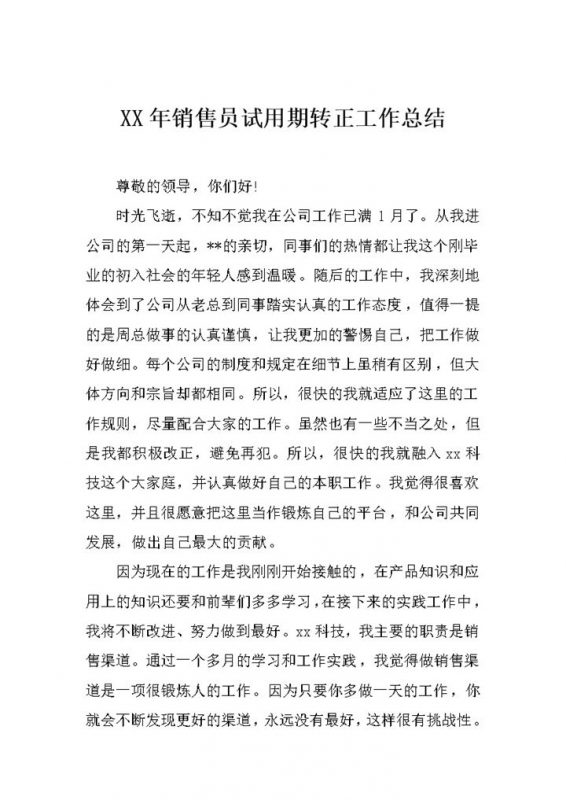 全新整理的销售员试用期转正工作总结范本Word模板-办公资源网