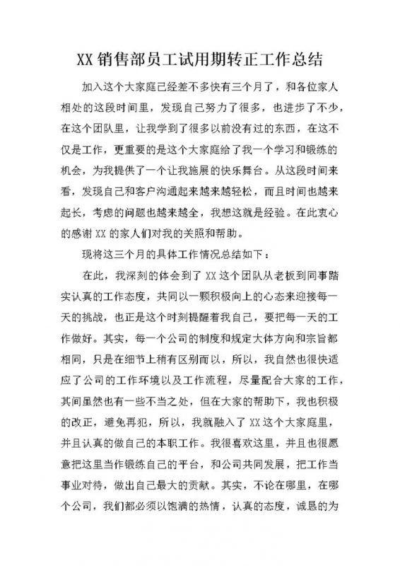 销售部员工个人试用期转正年终工作总结Word模板-办公资源网