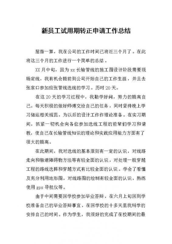 简约实用新员工试用期年终转正申请工作总结Word模板-办公资源网