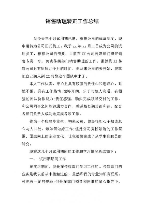 完整实用销售助理个人转正年终工作总结Word模板-办公资源网