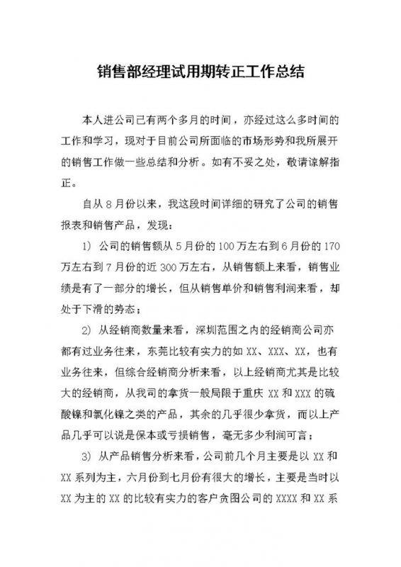 销售部经理销售人员试用期年终转正工作总结Word模板-办公资源网