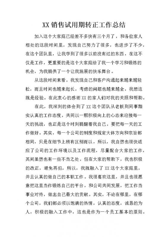 销售员工试用期转正工作总结年终总结Word模板-办公资源网
