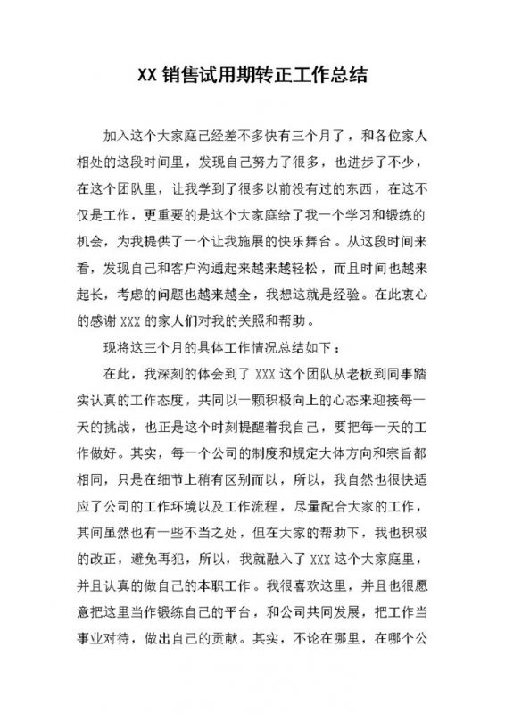 公司销售岗位个人试用期年终转正工作总结Word模板 (2)-办公资源网