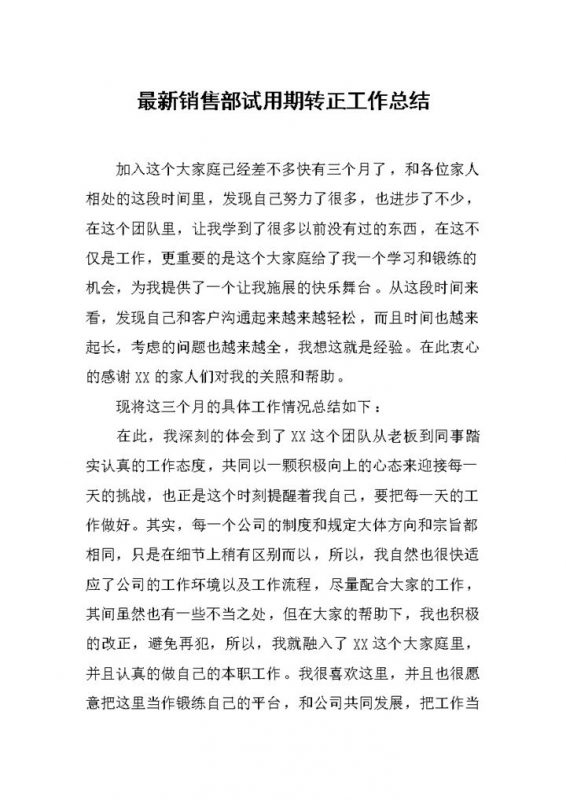 公司销售部试用期转正年终工作总结Word模板-办公资源网