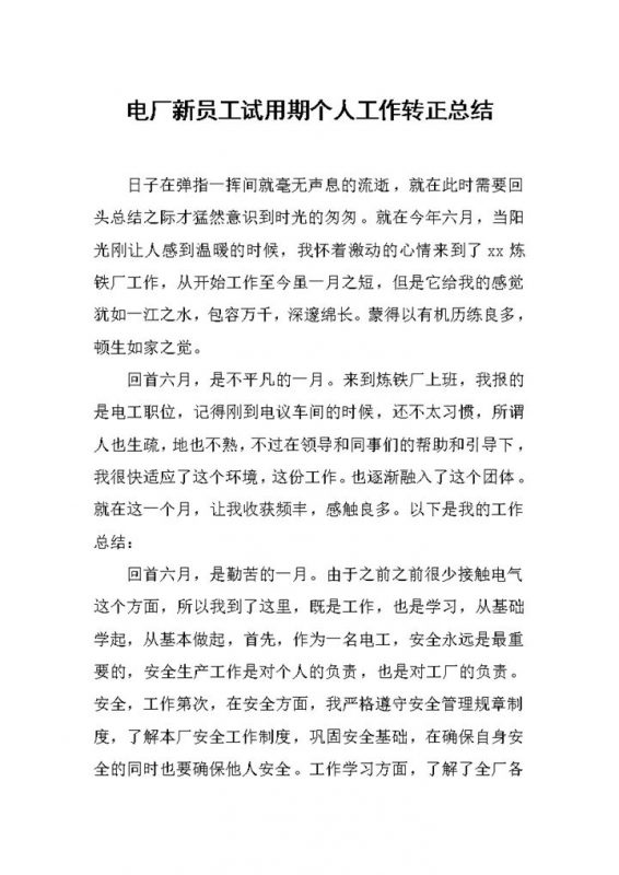 电厂新员工试用期通用转正个人工作总结范本Word模板-办公资源网