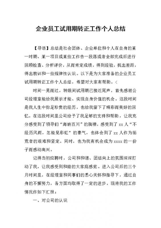 企业员工试用期转正工作个人总结报告Word模板-办公资源网