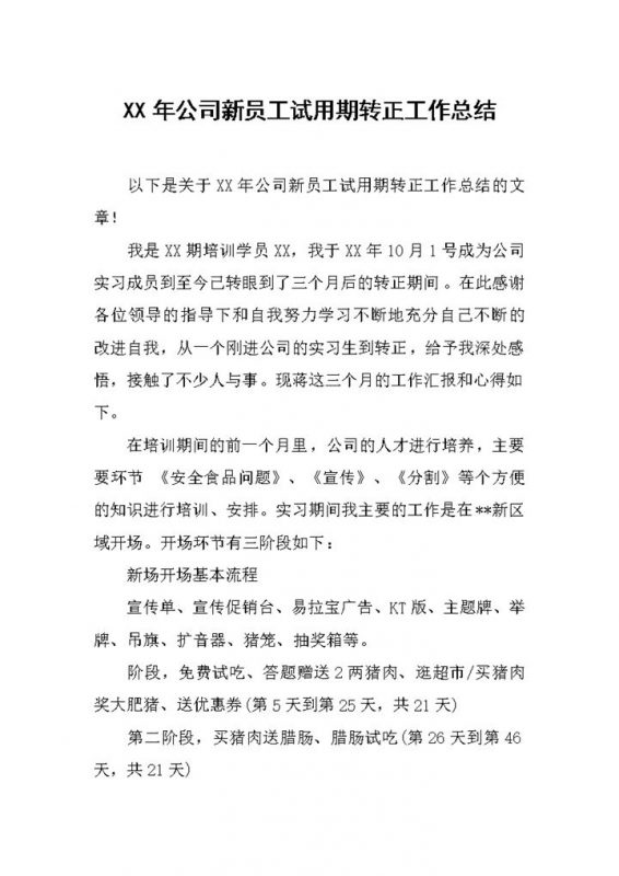 集团企业公司新员工试用期转正工作总结Word模板-办公资源网