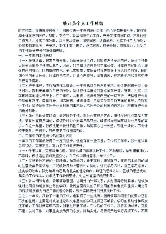 统计员个人工作总结word模板-办公资源网