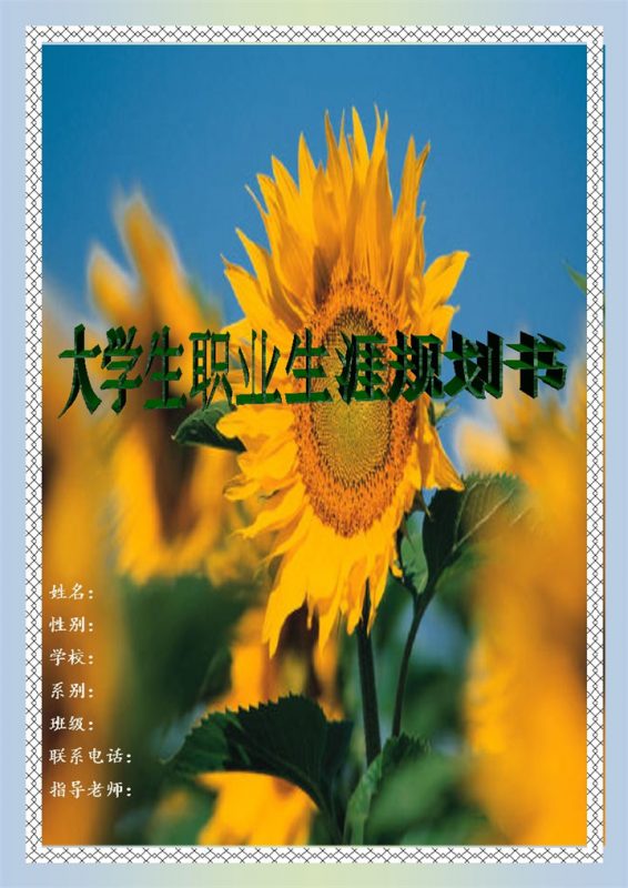 电子商务专业学生职业生涯规划书Word模板-办公资源网
