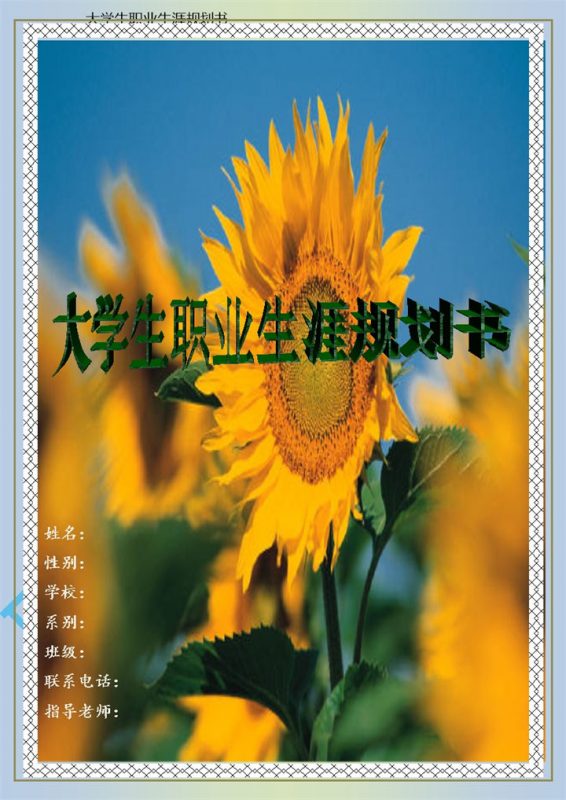 大学生职业生涯规划设计书范本Word模板-办公资源网