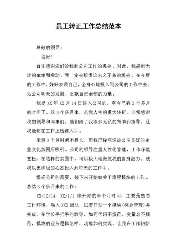 程序员试用期满转正年终工作总结范本Word模板-办公资源网
