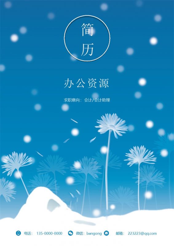 雪花简约成套会计助理求职应聘简历Word模板-办公资源网