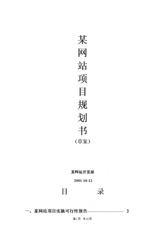某网站开发部项目发展战略规划书Word模板-办公资源网